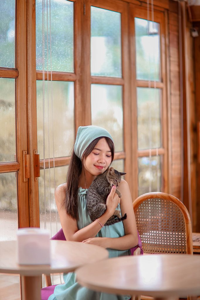 รถเช่าพร้อมคนขับน่าน, ไกด์จิงโจ้, เที่ยวน่านสะปัน บ่อเกลือ, ถนนเลข 3 น่าน, เช่ารถตู้พร้อมคนขับน่าน