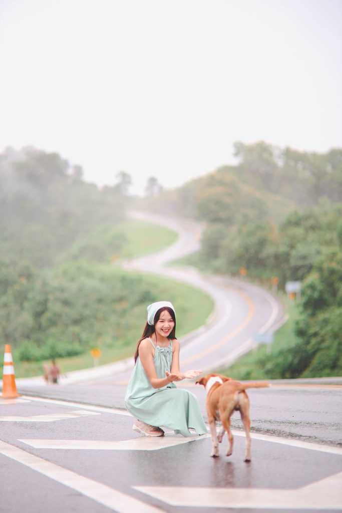 รถเช่าพร้อมคนขับน่าน, ไกด์จิงโจ้, เที่ยวน่านสะปัน บ่อเกลือ, ถนนเลข 3 น่าน, เช่ารถตู้พร้อมคนขับน่าน
