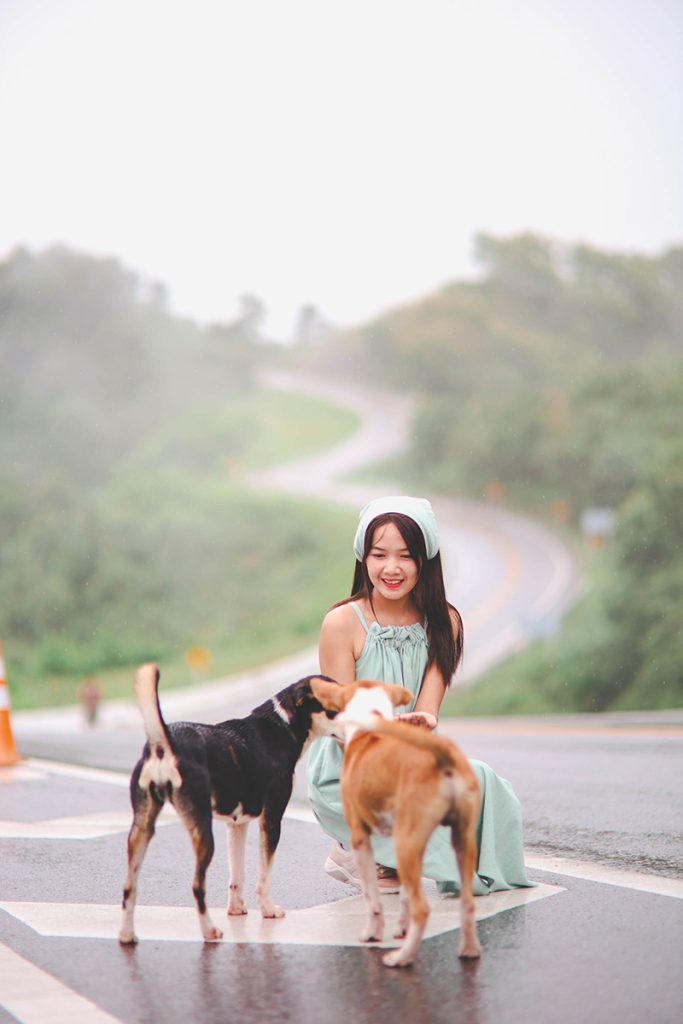 รถเช่าพร้อมคนขับน่าน, ไกด์จิงโจ้, เที่ยวน่านสะปัน บ่อเกลือ, ถนนเลข 3 น่าน, เช่ารถตู้พร้อมคนขับน่าน